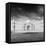 Taj Mahal. Indian Symbol - India Travel Background. Agra, India. Black and White Version-f9photos-Framed Stretched Canvas