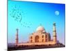 Taj Mahal Palace In India. Indian Temple Tajmahal-SergWSQ-Mounted Art Print