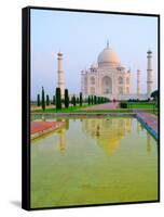 Taj Mahal Temple at Sunrise, Agra, India-Bill Bachmann-Framed Stretched Canvas