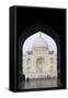 Taj Mahal, UNESCO World Heritage Site, Agra, Uttar Pradesh, India, Asia-Balan Madhavan-Framed Stretched Canvas