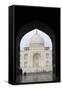 Taj Mahal, UNESCO World Heritage Site, Agra, Uttar Pradesh, India, Asia-Balan Madhavan-Framed Stretched Canvas