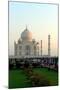 Taj Mahal, UNESCO World Heritage Site, Agra, Uttar Pradesh, India, Asia-Bhaskar Krishnamurthy-Mounted Photographic Print