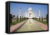 Taj Mahal, UNESCO World Heritage Site, Agra, Uttar Pradesh, India, Asia-Doug Pearson-Framed Stretched Canvas