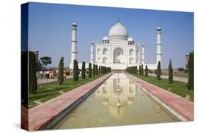 Taj Mahal, UNESCO World Heritage Site, Agra, Uttar Pradesh, India, Asia-Doug Pearson-Stretched Canvas