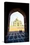 Taj Mahal, UNESCO World Heritage Site, Agra, Uttar Pradesh, India, Asia-Doug Pearson-Stretched Canvas