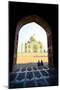 Taj Mahal, UNESCO World Heritage Site, Agra, Uttar Pradesh, India, Asia-Doug Pearson-Mounted Photographic Print