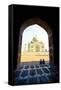 Taj Mahal, UNESCO World Heritage Site, Agra, Uttar Pradesh, India, Asia-Doug Pearson-Framed Stretched Canvas