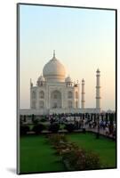 Taj Mahal, UNESCO World Heritage Site, Agra, Uttar Pradesh, India, Asia-Bhaskar Krishnamurthy-Mounted Photographic Print