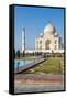 Taj Mahal, UNESCO World Heritage Site, Agra, Uttar Pradesh, India, Asia-Matthew Williams-Ellis-Framed Stretched Canvas