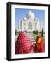 Taj Mahal, UNESCO World Heritage Site, Women in Colourful Saris, Agra, Uttar Pradesh State, India, -Gavin Hellier-Framed Photographic Print