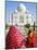 Taj Mahal, UNESCO World Heritage Site, Women in Colourful Saris, Agra, Uttar Pradesh State, India, -Gavin Hellier-Mounted Photographic Print