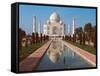 Taj Mahal, Uttar Pradesh, India-Dee Ann Pederson-Framed Stretched Canvas