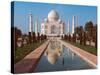 Taj Mahal, Uttar Pradesh, India-Dee Ann Pederson-Stretched Canvas