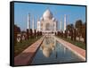 Taj Mahal, Uttar Pradesh, India-Dee Ann Pederson-Framed Stretched Canvas