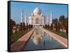 Taj Mahal, Uttar Pradesh, India-Dee Ann Pederson-Framed Stretched Canvas