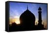 Taj Mahal White Marble Mausoleum.-plotnikov-Framed Stretched Canvas