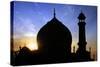 Taj Mahal White Marble Mausoleum.-plotnikov-Stretched Canvas