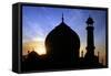 Taj Mahal White Marble Mausoleum.-plotnikov-Framed Stretched Canvas