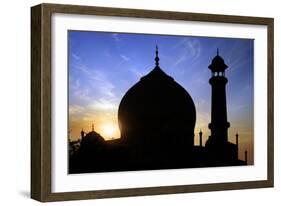 Taj Mahal White Marble Mausoleum.-plotnikov-Framed Photographic Print