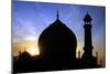 Taj Mahal White Marble Mausoleum.-plotnikov-Mounted Photographic Print