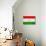 Tajikistan Flag Design with Wood Patterning - Flags of the World Series-Philippe Hugonnard-Art Print displayed on a wall