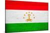 Tajikistan Flag Design with Wood Patterning - Flags of the World Series-Philippe Hugonnard-Stretched Canvas