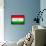 Tajikistan Flag Design with Wood Patterning - Flags of the World Series-Philippe Hugonnard-Framed Stretched Canvas displayed on a wall