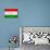 Tajikistan Flag Design with Wood Patterning - Flags of the World Series-Philippe Hugonnard-Stretched Canvas displayed on a wall