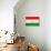 Tajikistan Flag Design with Wood Patterning - Flags of the World Series-Philippe Hugonnard-Stretched Canvas displayed on a wall