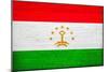 Tajikistan Flag Design with Wood Patterning - Flags of the World Series-Philippe Hugonnard-Mounted Premium Giclee Print