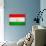 Tajikistan Flag Design with Wood Patterning - Flags of the World Series-Philippe Hugonnard-Art Print displayed on a wall