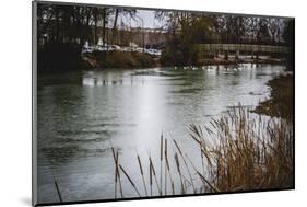 Tajo River.Aranjuez, Madrid, Spain.World Heritage Site by UNESCO in 2001-outsiderzone-Mounted Photographic Print