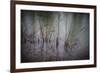 Tajo River.Aranjuez, Madrid, Spain.World Heritage Site by UNESCO in 2001-outsiderzone-Framed Photographic Print