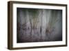 Tajo River.Aranjuez, Madrid, Spain.World Heritage Site by UNESCO in 2001-outsiderzone-Framed Photographic Print