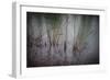 Tajo River.Aranjuez, Madrid, Spain.World Heritage Site by UNESCO in 2001-outsiderzone-Framed Photographic Print