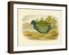 Takahe, 1891-Gracius Broinowski-Framed Giclee Print