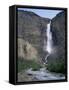 Takakkaw Falls, 254M High, Yoho National Park, British Columbia, Rockies, Canada-Geoff Renner-Framed Stretched Canvas