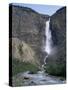 Takakkaw Falls, 254M High, Yoho National Park, British Columbia, Rockies, Canada-Geoff Renner-Stretched Canvas