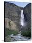 Takakkaw Falls, 254M High, Yoho National Park, British Columbia, Rockies, Canada-Geoff Renner-Stretched Canvas