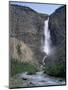 Takakkaw Falls, 254M High, Yoho National Park, British Columbia, Rockies, Canada-Geoff Renner-Mounted Photographic Print