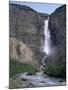 Takakkaw Falls, 254M High, Yoho National Park, British Columbia, Rockies, Canada-Geoff Renner-Mounted Photographic Print