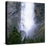 Takakkaw Falls Swollen by Summer Snowmelt, British Columbia (B.C.), Canada-Ruth Tomlinson-Stretched Canvas