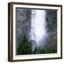 Takakkaw Falls Swollen by Summer Snowmelt, British Columbia (B.C.), Canada-Ruth Tomlinson-Framed Photographic Print