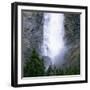 Takakkaw Falls Swollen by Summer Snowmelt, British Columbia (B.C.), Canada-Ruth Tomlinson-Framed Photographic Print
