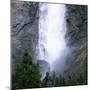 Takakkaw Falls Swollen by Summer Snowmelt, British Columbia (B.C.), Canada-Ruth Tomlinson-Mounted Photographic Print