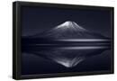 Essential Black