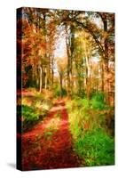 Take a Path in Autumn-Philippe Sainte-Laudy-Stretched Canvas
