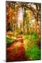 Take a Path in Autumn-Philippe Sainte-Laudy-Mounted Photographic Print