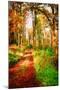 Take a Path in Autumn-Philippe Sainte-Laudy-Mounted Premium Photographic Print