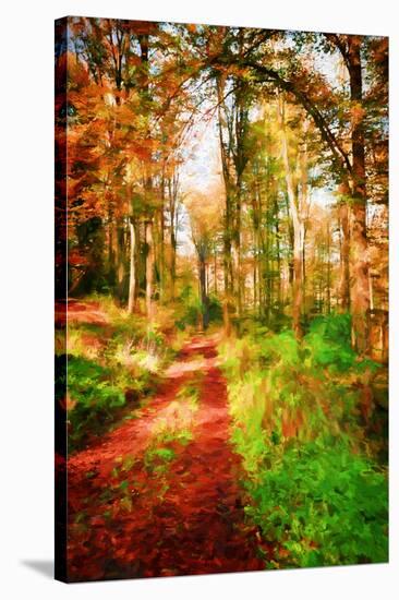 Take a Path in Autumn-Philippe Sainte-Laudy-Stretched Canvas